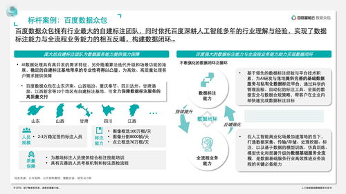 德勤咨詢 人工智能基礎(chǔ)數(shù)據(jù)服務(wù)與軟件開(kāi)發(fā)白皮書(shū)