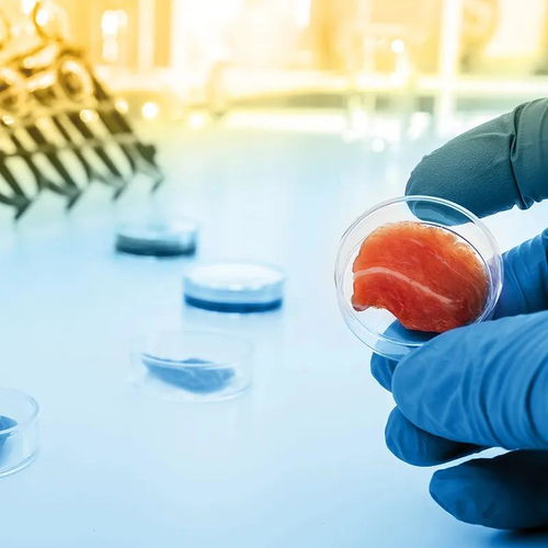 凱愛瑞發布2022全球風味圖譜，帝斯曼成立新食品飲料事業部——有料Weekly技術交流